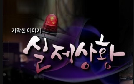 오직 이런 종류 프로그램만 보는 사람들 있음 | 인스티즈