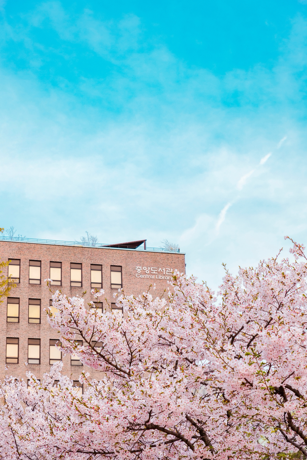 서정적이고 청량한 한국 특유의 분위기 (+사이버펑크) | 인스티즈