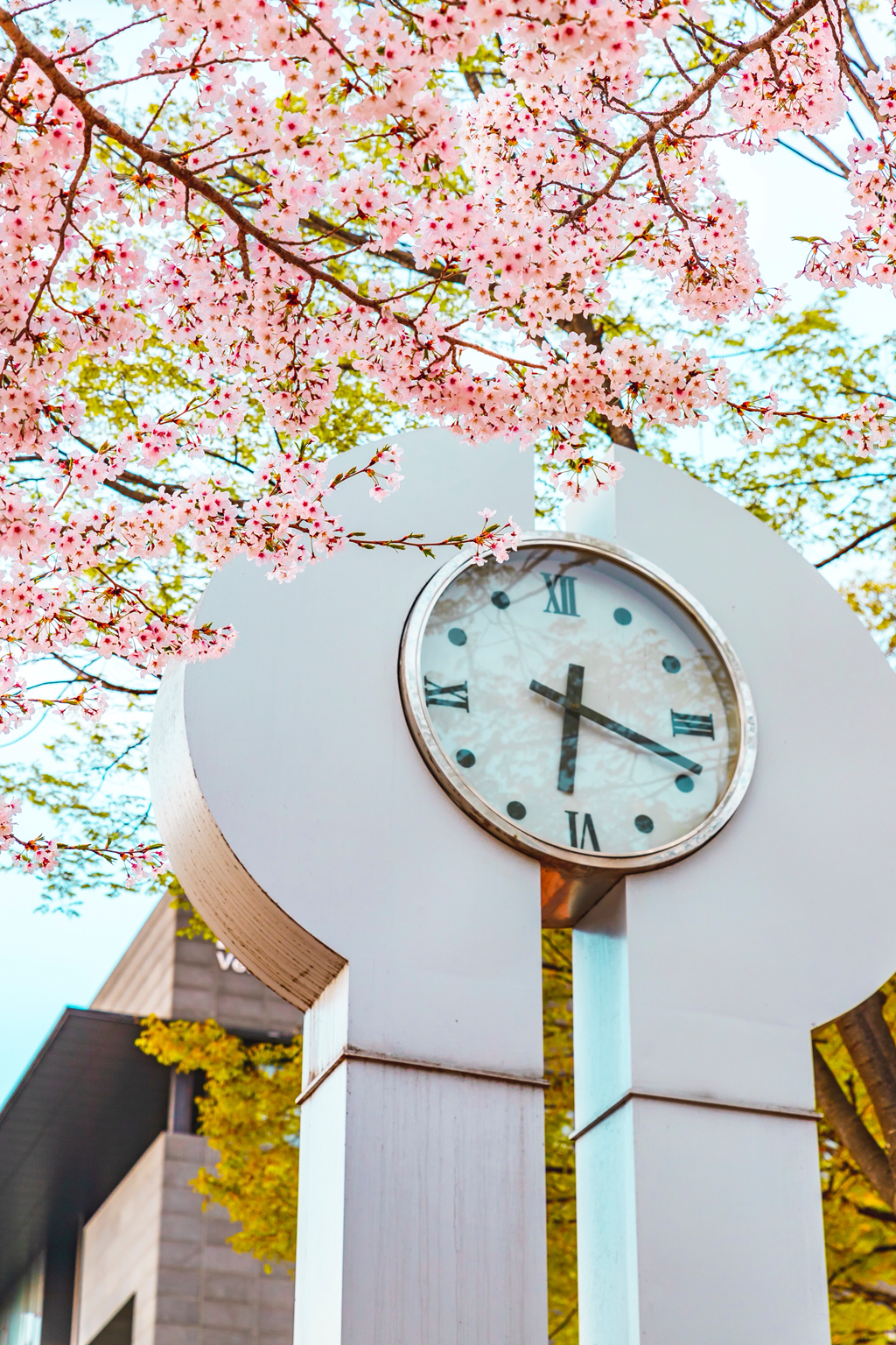 서정적이고 청량한 한국 특유의 분위기 (+사이버펑크) | 인스티즈