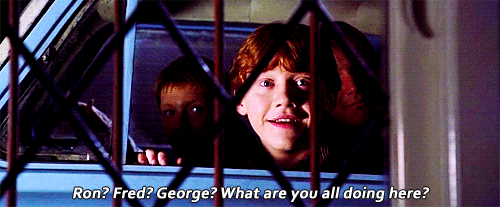 c5b46610bad6d18e24fd99909a95b9229eb7d3b1