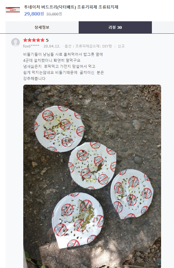 비둘기를 혐오하는 사람들 | 인스티즈