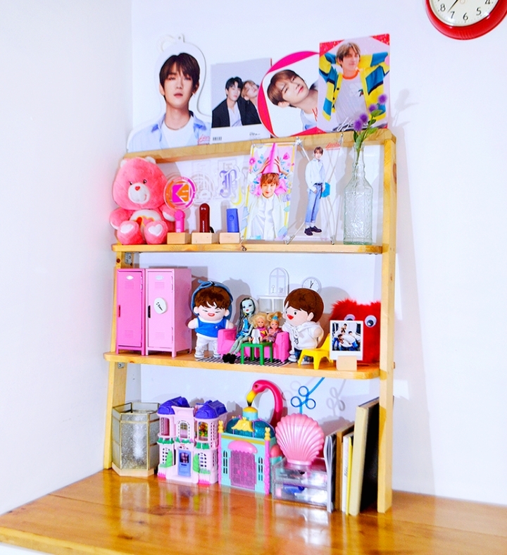 소장욕구 + 인테리어욕구를 불러일으키는 남의 덕후존 구경하기.jpg | 인스티즈