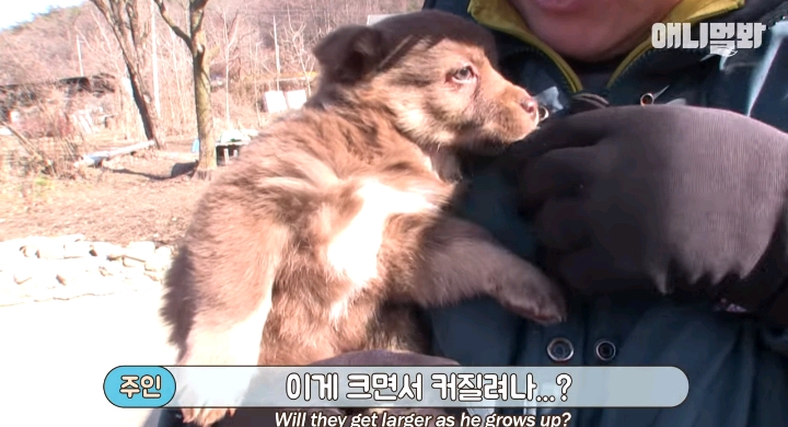 나만 점박이 없어...ㅠ 다른 형아들 다 점박이 있고 나만 없어....ㅜㅜ | 인스티즈