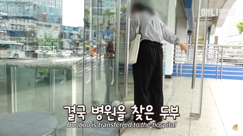 돌멩이를 물고 다니는 강아지 ㅋㅋㅋㅋ(귀여움주의) | 인스티즈