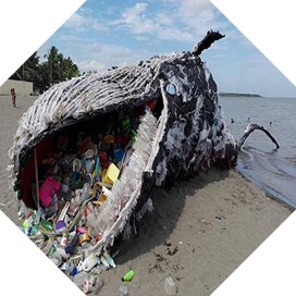 플라스틱 쓰레기로 신음하는 동물들 | 인스티즈