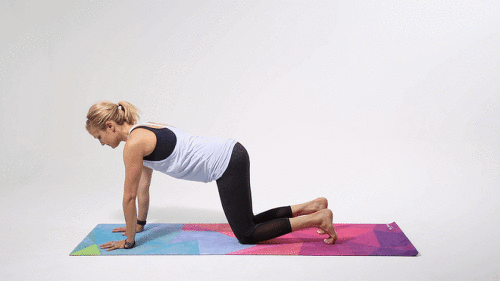 cfc1dcd137fa1d5252783c283a08b91a60455531