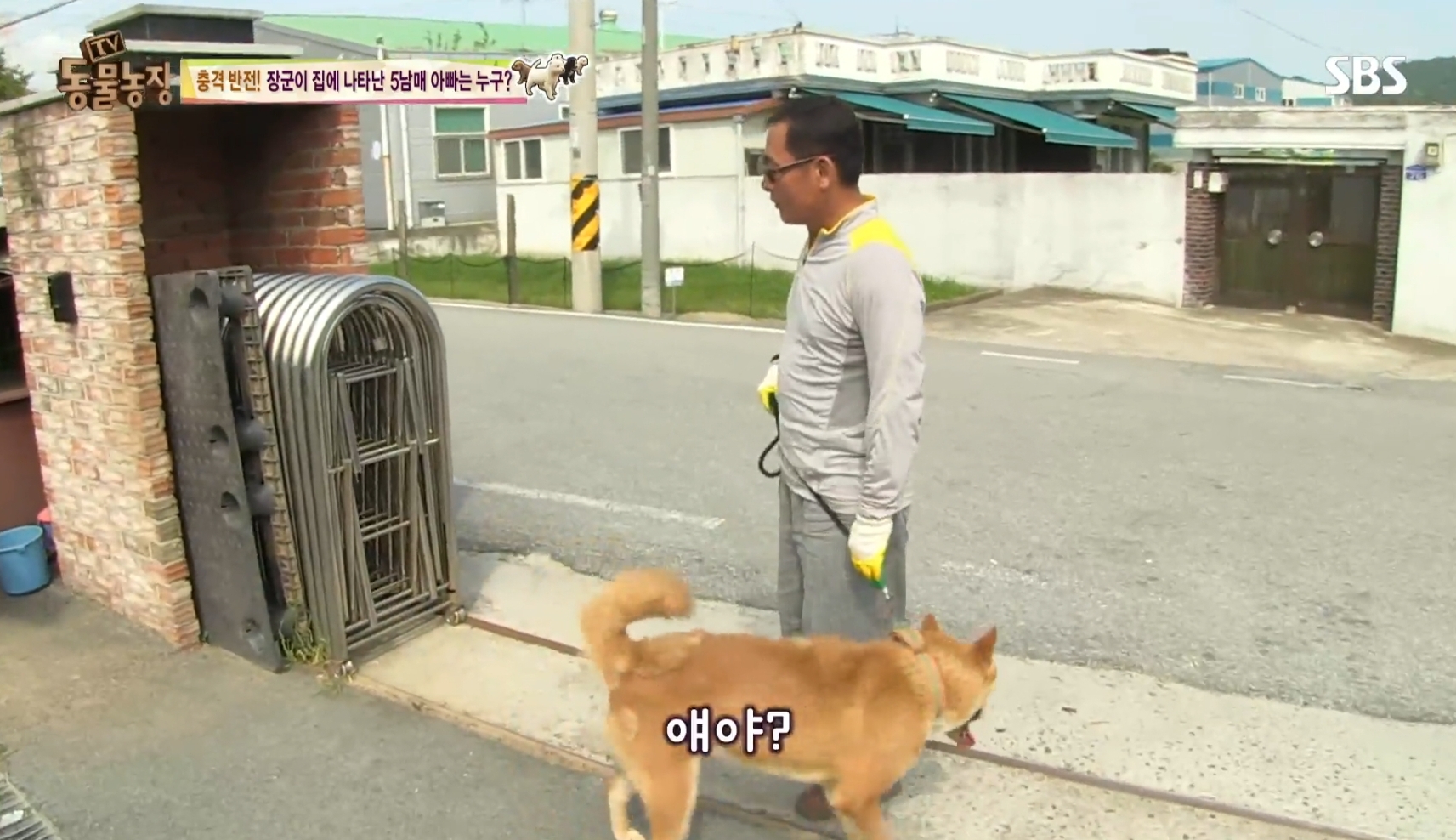 어떤 개가 우리 집에 새끼만 낳아 놓고 안 와요;; 3 | 인스티즈