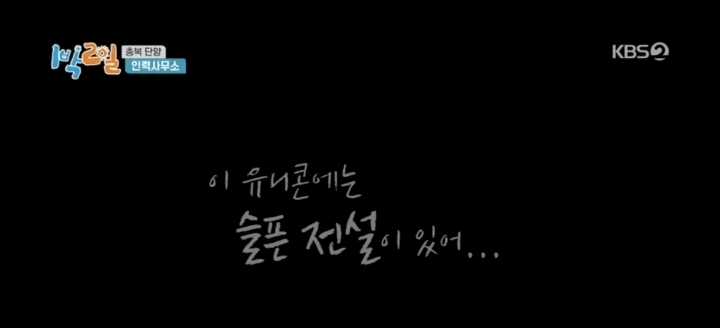 1박2일에 다시 취업한 체험삶의현장 유니콘 | 인스티즈