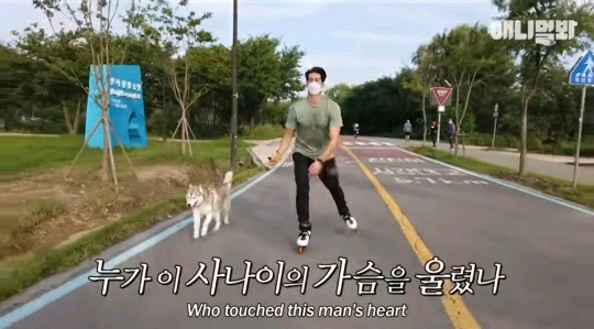 처음 보는 갱얼쥐 산책법 | 인스티즈