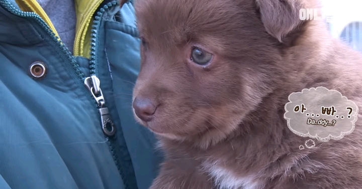 나만 점박이 없어...ㅠ 다른 형아들 다 점박이 있고 나만 없어....ㅜㅜ | 인스티즈