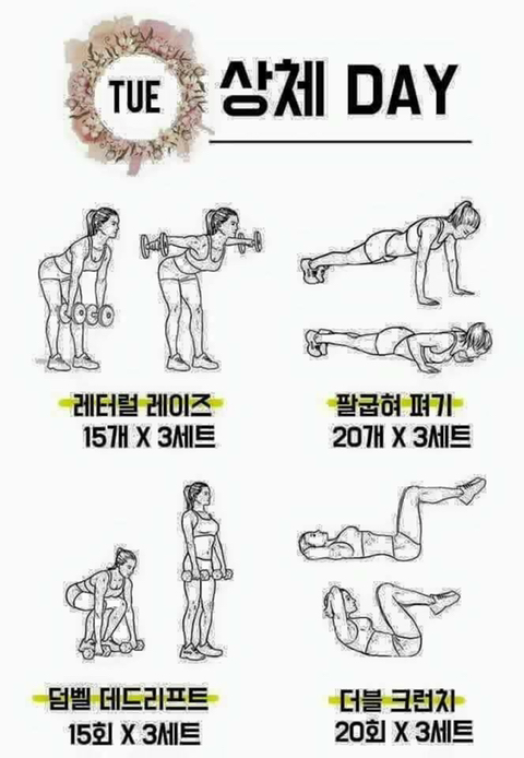 어떤 운동을 해야할지 고민이라면!! | 인스티즈