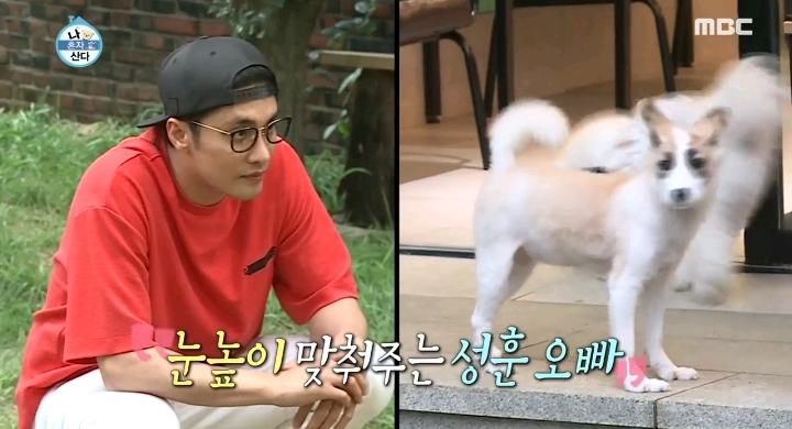 배우 성훈이 입양한 유기견 양희가 가지고 있던 트라우마 | 인스티즈