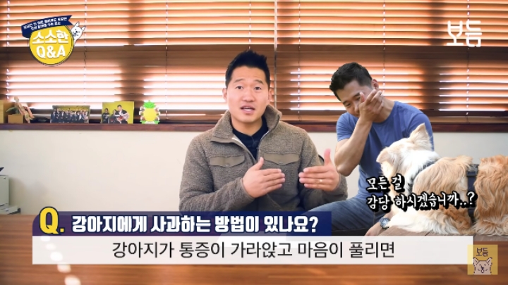 강아지 모르고 쳤을때 사과하는 방법.jpg | 인스티즈