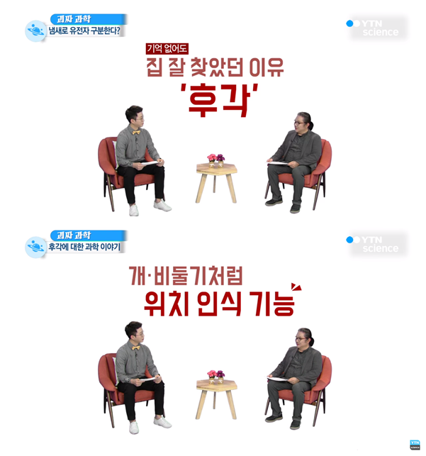 꽐라 사족보행 돼도 항상 집은 찾아가는 사람 특징 jpg | 인스티즈