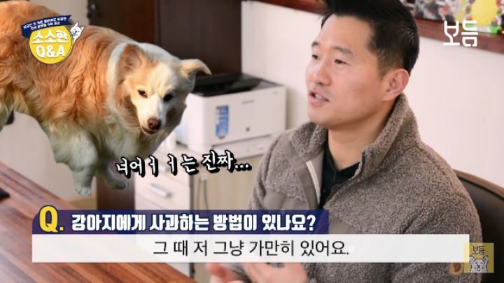 강아지 모르고 쳤을때 사과하는 방법.jpg | 인스티즈