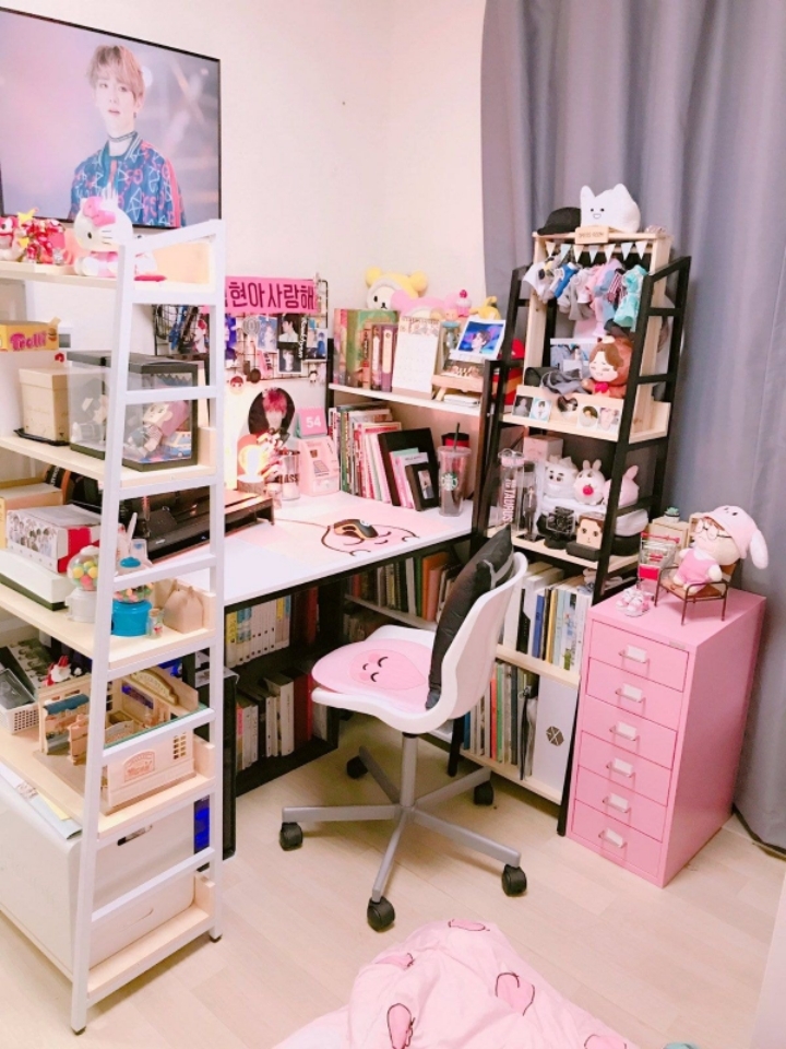 소장욕구 + 인테리어욕구를 불러일으키는 남의 덕후존 구경하기.jpg | 인스티즈