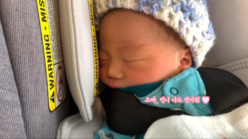 강아지들이 갓난아이를 보는 표정 | 인스티즈