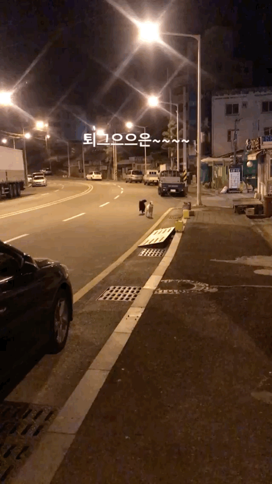 알바하다가 댕댕이들이랑 짱친 먹었던 적 있는데 | 인스티즈