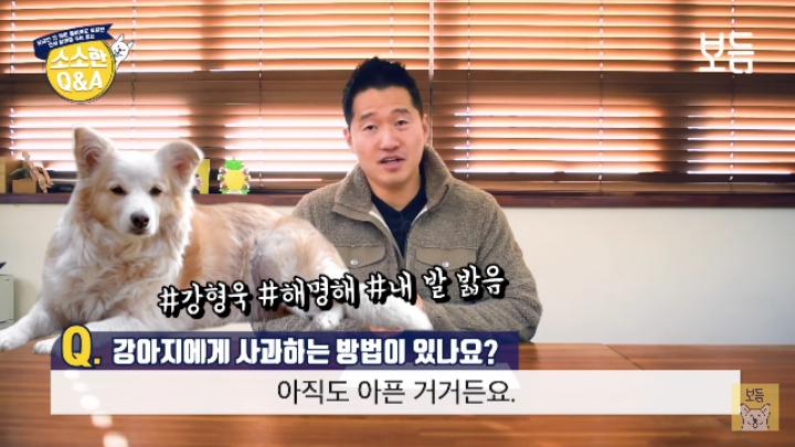 강아지 모르고 쳤을때 사과하는 방법.jpg | 인스티즈