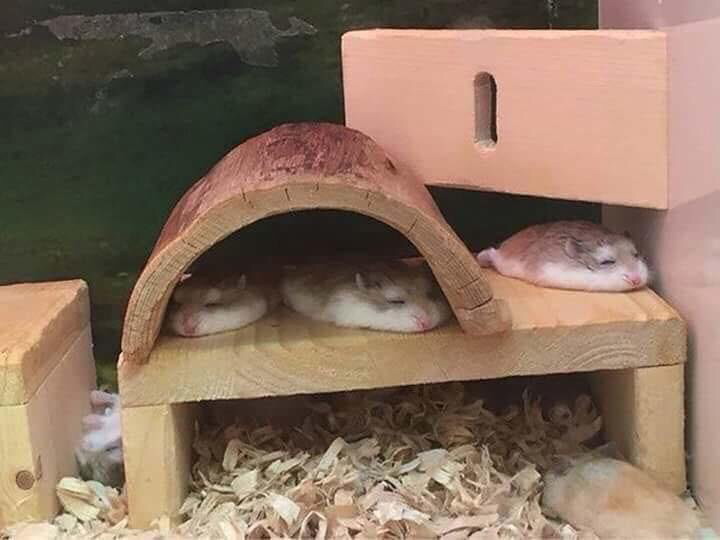 커짐 이미지