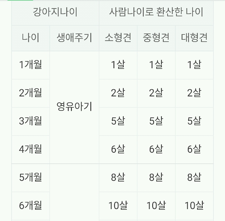 강아지 나이→인간 나이로 환산 비교표 | 인스티즈