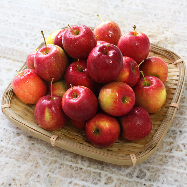 미니사과 jpg | 인스티즈