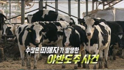 치매 걸려도 마닷 부모님 이름 기억하는 피해자 | 인스티즈