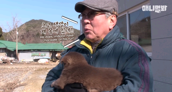 나만 점박이 없어...ㅠ 다른 형아들 다 점박이 있고 나만 없어....ㅜㅜ | 인스티즈