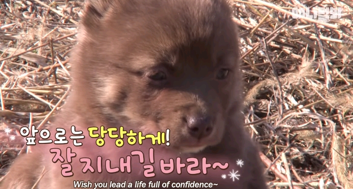 나만 점박이 없어...ㅠ 다른 형아들 다 점박이 있고 나만 없어....ㅜㅜ | 인스티즈