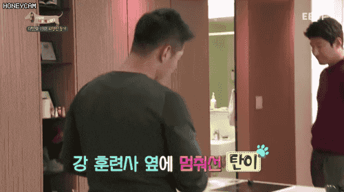 개가 자신을 물려고 하는것을 알아 챈 강형욱 | 인스티즈