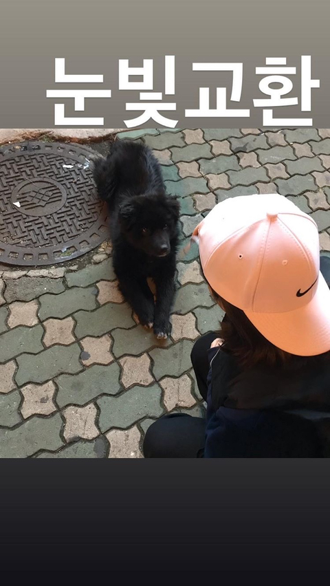 알바하다가 댕댕이들이랑 짱친 먹었던 적 있는데 | 인스티즈