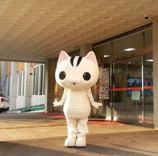 펭수코인이 국내에 끼친 영향 | 인스티즈