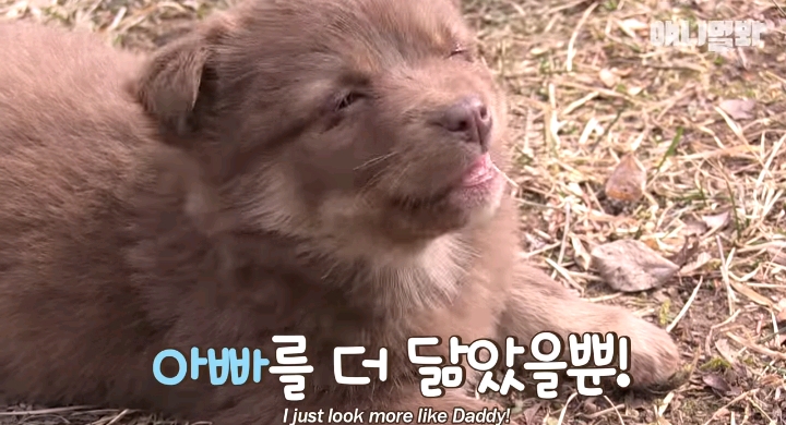 나만 점박이 없어...ㅠ 다른 형아들 다 점박이 있고 나만 없어....ㅜㅜ | 인스티즈