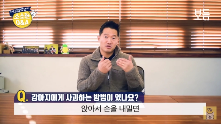 강아지 모르고 쳤을때 사과하는 방법.jpg | 인스티즈