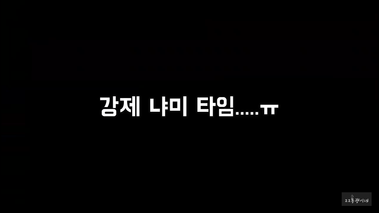 내가 때리는건 괜찮아도 남이 때리는건 안괜찮은 현실남매 고양이 | 인스티즈