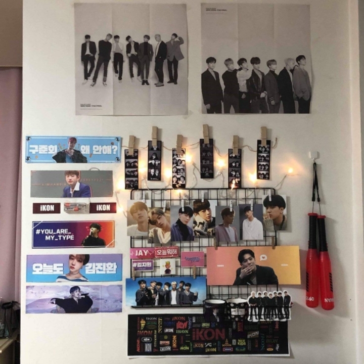 소장욕구 + 인테리어욕구를 불러일으키는 남의 덕후존 구경하기.jpg | 인스티즈