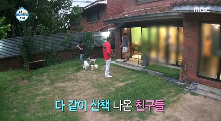 배우 성훈이 입양한 유기견 양희가 가지고 있던 트라우마 | 인스티즈