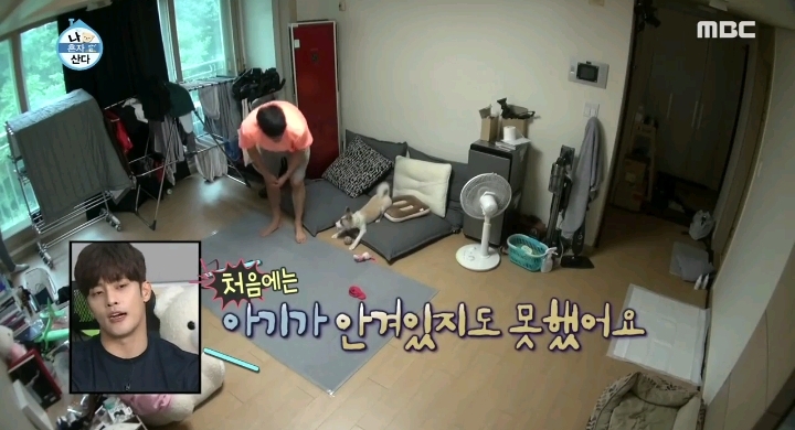 배우 성훈이 입양한 유기견 양희가 가지고 있던 트라우마 | 인스티즈