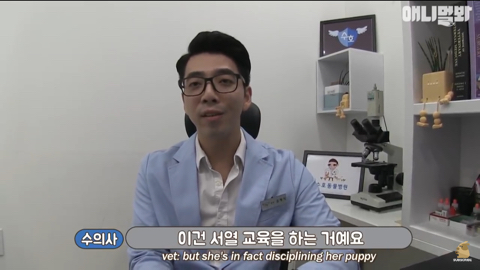 엄마가 차별한다는 비숑댕댕이,, | 인스티즈