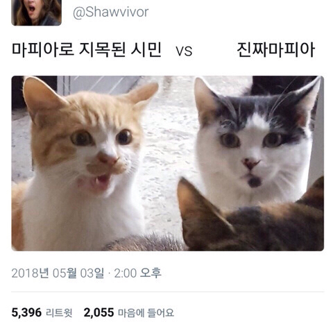 공감 이미지