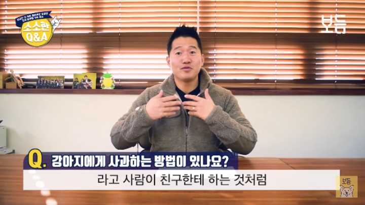 강아지 모르고 쳤을때 사과하는 방법.jpg | 인스티즈