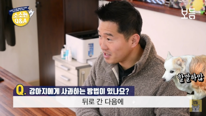 강아지 모르고 쳤을때 사과하는 방법.jpg | 인스티즈