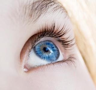 신기한 다양한 눈동자 색들 | 인스티즈