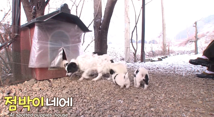 나만 점박이 없어...ㅠ 다른 형아들 다 점박이 있고 나만 없어....ㅜㅜ | 인스티즈