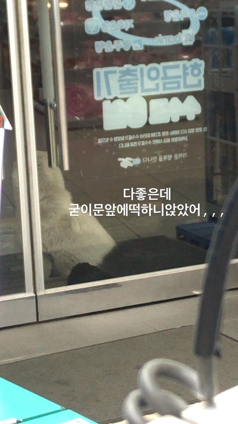 알바하다가 댕댕이들이랑 짱친 먹었던 적 있는데 | 인스티즈