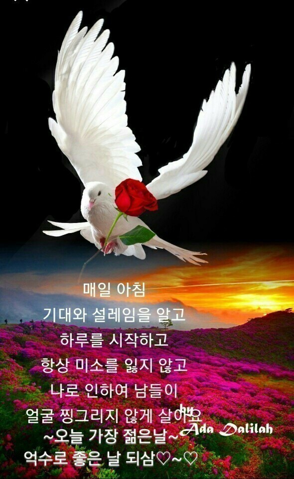 주몽막걸리 이미지