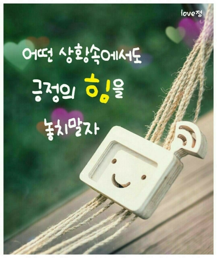은유의꽃 이미지