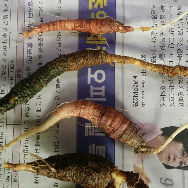 방태산약초 이미지