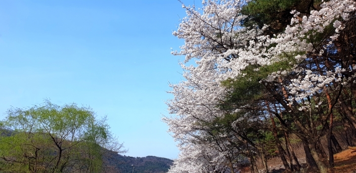 더블클릭을 하시면 이미지를 수정할 수 있습니다