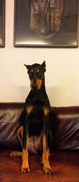 825a0573e82218c3078d32fc5736f4eb9791a3fc